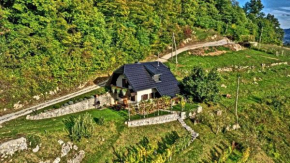 Holiday home in Otocec Kranjska Krain 42903